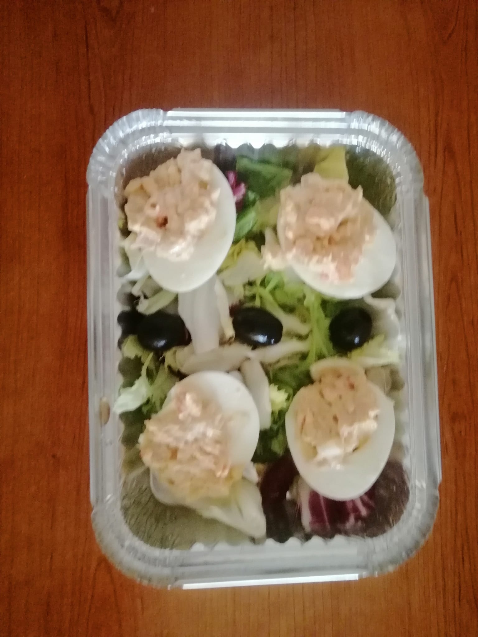 Plato 8